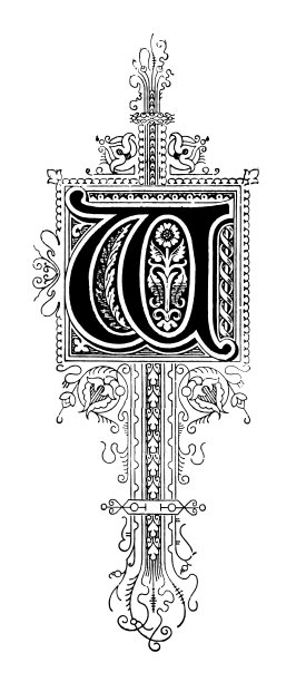 华丽的字母W图片下载