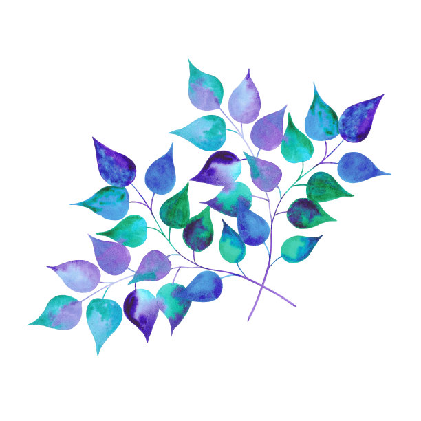 手绘水彩彩色树枝孤立在白色的背景。可用于明信片、标签、横幅设计等印刷品。图片下载
