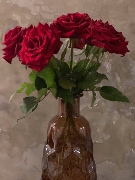 在斑驳的墙上放一瓶红玫瑰图片下载