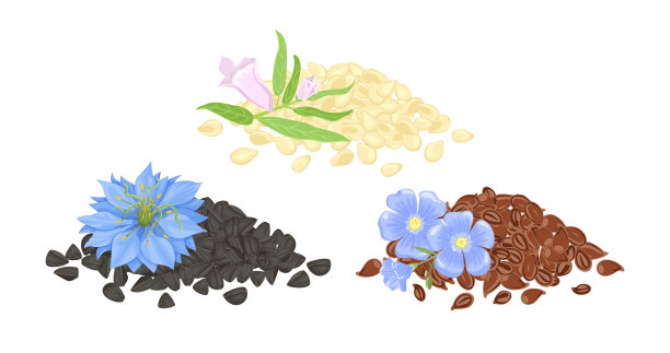 一堆亚麻籽，黑孜然和芝麻。一组矢量卡通插图。图片下载