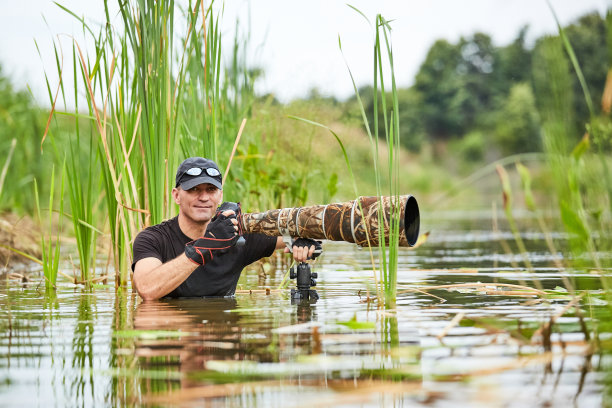 野外野生动物摄影师，站在水里。夏季在野外工作的野生动物摄影师。野生动物图片下载