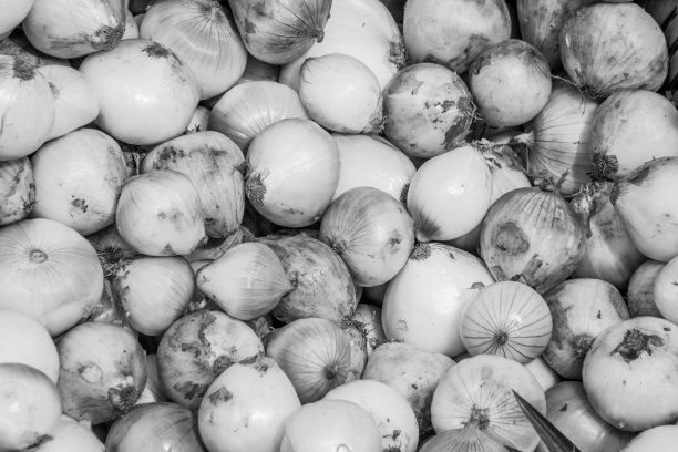 在蔬菜市场卖白洋葱。(黑白)图片下载