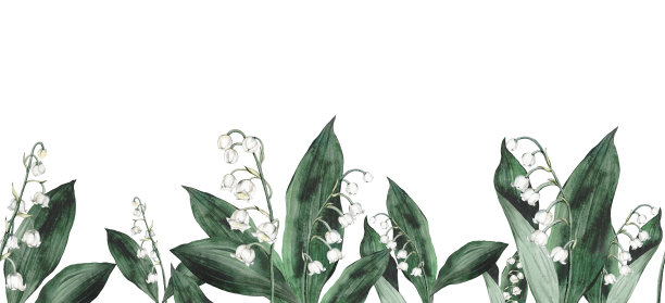 水彩横幅与春天的山谷百合枝。插图孤立，白色背景。设计印刷明信片、婚礼请柬、生日请柬、春暑假请柬图片下载