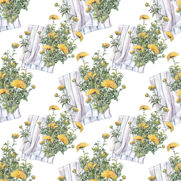 无缝图案水彩黄菊与绿叶和蓝色毛巾在白色的背景。复古手绘树枝与花和芽庆祝。墙纸包装的自然艺术图片下载