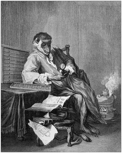 古董艺术绘画插图:夏丹-人性化的猴子图片下载