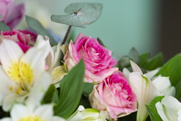 粉红色的玫瑰盛开在一个美丽的和变化的花束近距离仍然图片下载