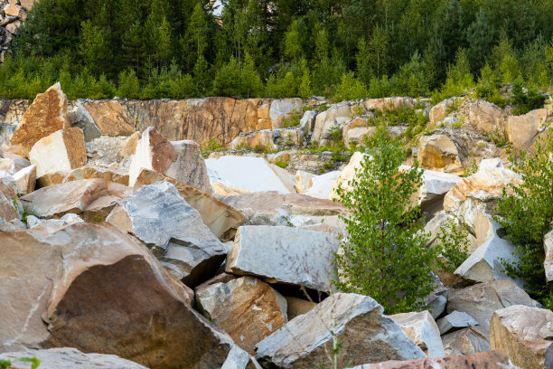 在一片绿色森林的背景下，山上散落着许多石头图片下载