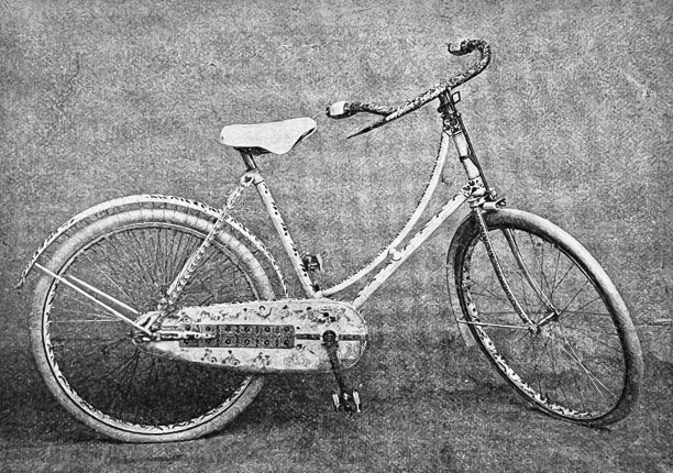 镶满钻石的自行车卖了50万美元图片下载