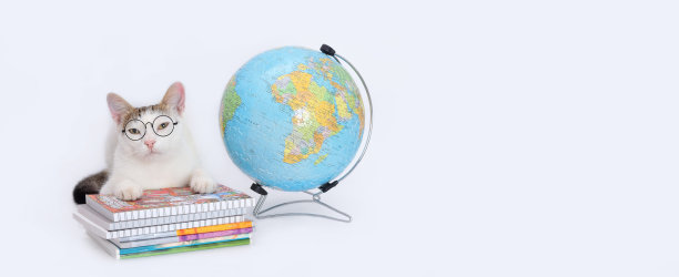 戴眼镜的猫躺在书上看着照相机。图片下载