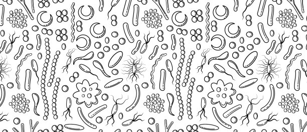 细菌和病毒的图案图片下载