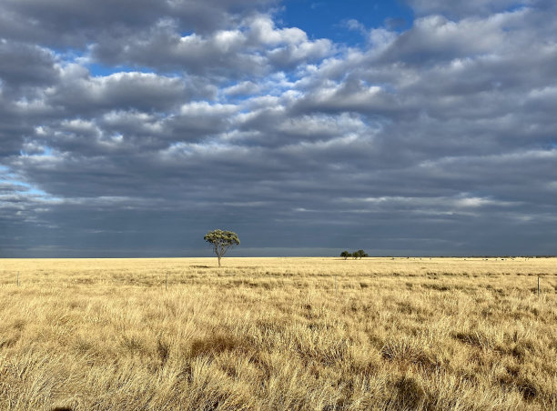 内地昆士兰图片下载
