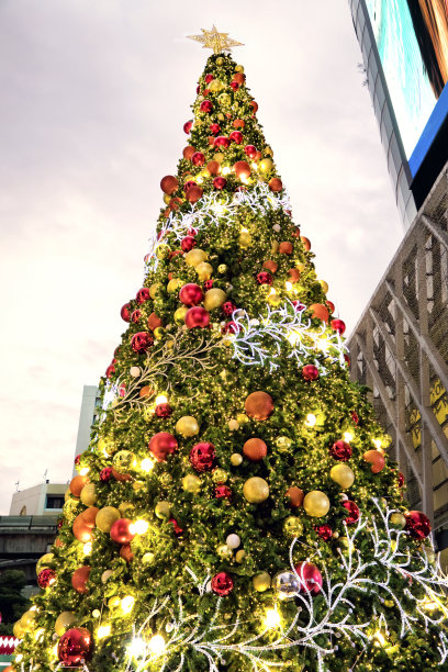 城市广场上的户外闪亮圣诞树图片下载