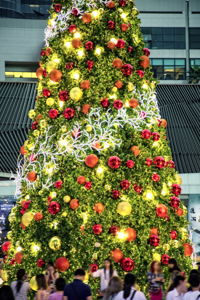 人们在城市广场的户外大圣诞树图片下载