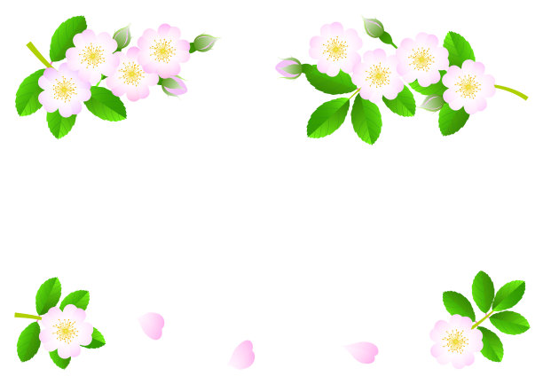 一套野生玫瑰在春天盛开的插图图片下载