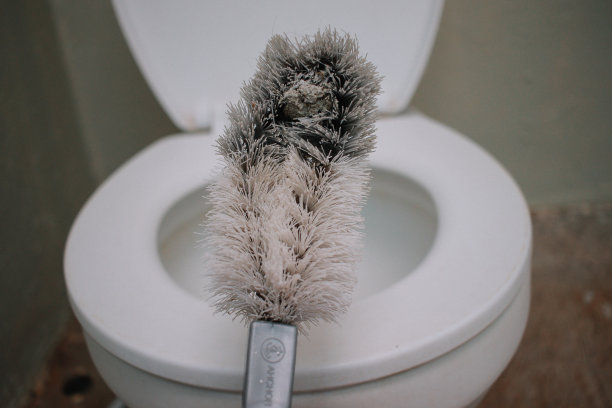 脏马桶刷图片下载