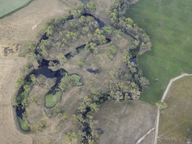 干燥的田野和带阴影的树木的航拍照片图片下载