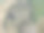 干燥的田野和带阴影的树木的航拍照片图片下载