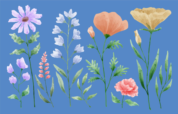 用水彩画的一套花图片下载