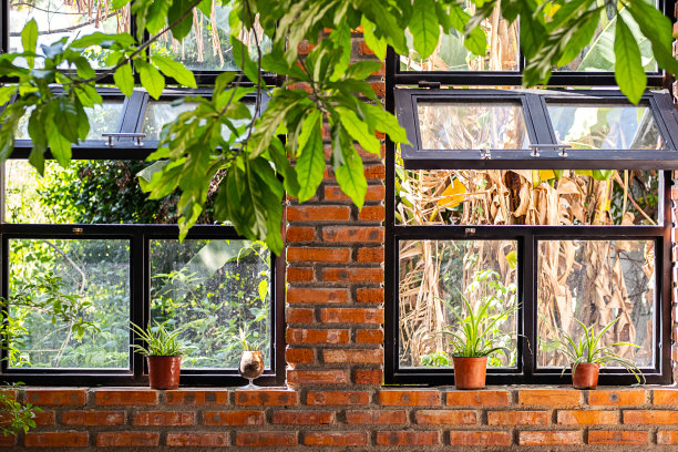 现代化的车间，大窗户和室内花园。景观共享空间。图片下载