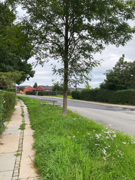 把路边的边缘变成野花草地图片下载