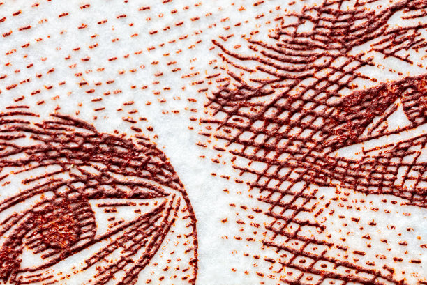 近距离观察一张20令吉钞票的眼睛。森美兰州的阿都拉曼的肖像。马来西亚第一夫人。国王的眼睛。微观宏观捕捉马来西亚资金图片下载