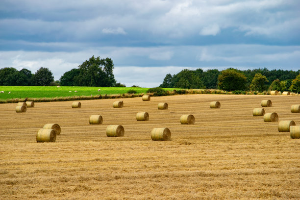 英国利兹，一个乡村农场里的小麦卷图片下载