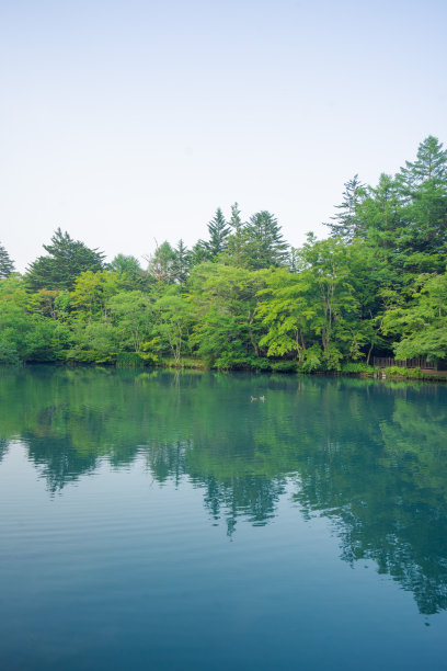轻井泽Kumobaike (Kumoba pond)的景色图片下载