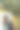 年轻女子在冬天漫步街头时从保温瓶里喝咖啡。圣诞假期图片下载