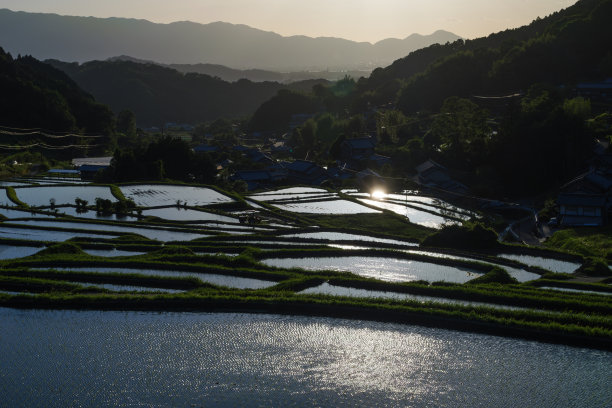黄昏的村庄，落日前稻田的美景图片下载
