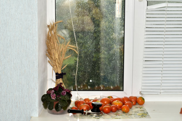 窗玻璃上挂满了雨滴，西红柿躺在窗台上。图片下载