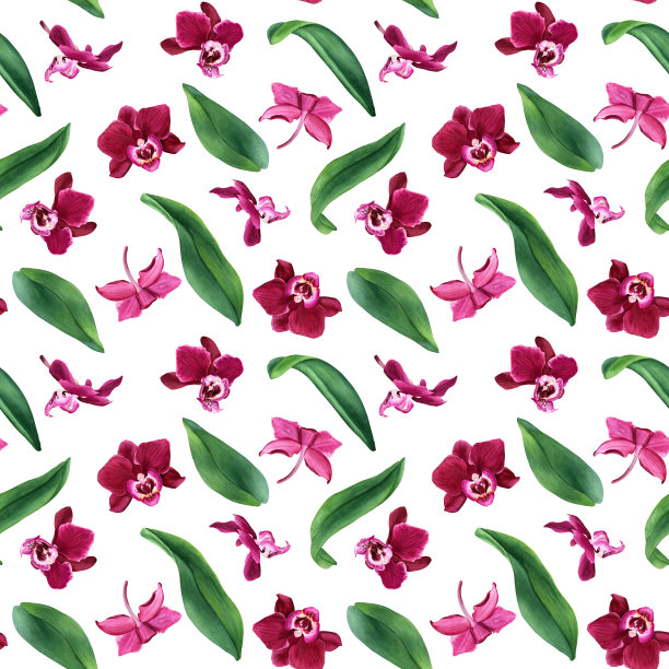 水彩无缝图案与热带花卉兰花蝴蝶兰花和叶子。用于包装，墙纸，织物，纺织品图片下载