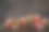 玻璃罐里的腌菜。图片下载
