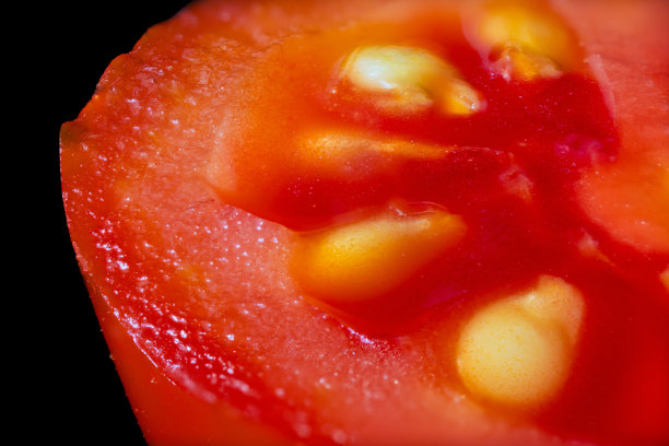 意大利红番茄超宏观观食图片下载