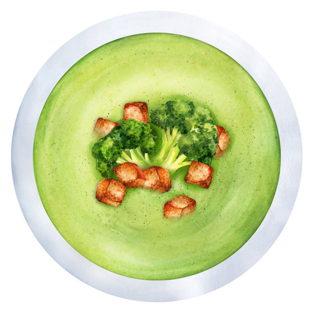 奶油花椰菜汤特写。水彩插图图片下载