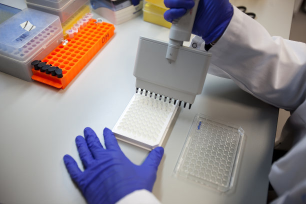 在实验室里操纵试验的科学家。图片下载