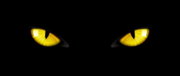 黑猫的眼睛，黄色发光的黑豹的瞳孔图片下载