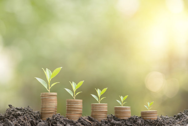 钱币上种植的植物堆在泥土上，绿油油的背景模糊，气氛温暖轻盈。投资与业务增长、经济风险、值得消费、为未来存钱的理念图片下载