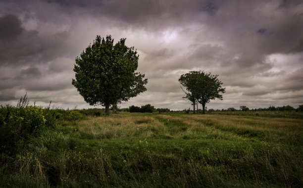 加拿大爱德华王子岛斯普林希尔2号公路上引人注目的暴风雨路边景观图片下载