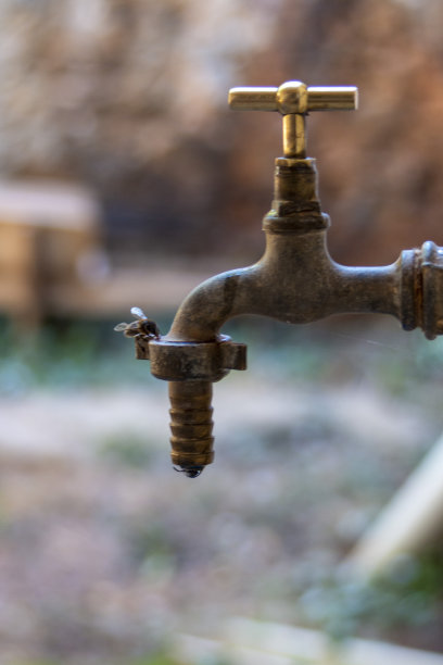 乡村景象，蜜蜂从一个古老的青铜水龙头里喝水图片下载