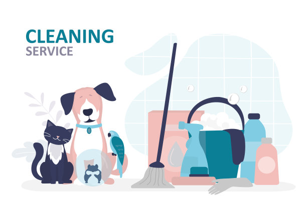 房屋，公寓的清洁服务后可爱的宠物。清理动物饲养后的家具和室内。垃圾，便便，家狗和猫的污垢。图片下载