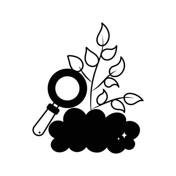 植物生长涂鸦矢量轮廓贴纸。EPS 10文件图片下载