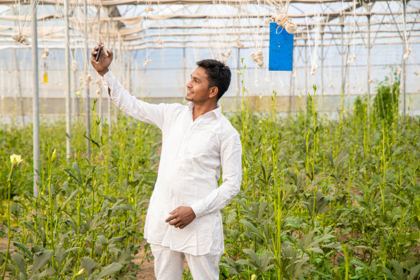 快乐的年轻印度农民在保利屋或温室里用智能手机自拍，农业和技术概念复制空间图片下载