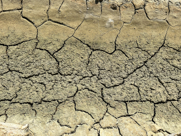 干海床，治疗泥，碎裂的泥土，鸟爪印图片下载