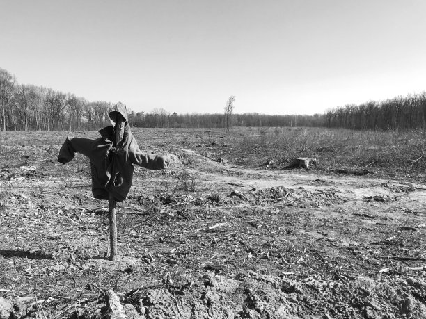 花园里可怕的稻草人吓退了饥饿的鸟儿图片下载