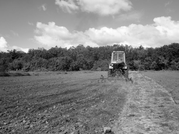 在开阔的乡间黑土上用拖拉机犁过的田地图片下载