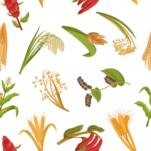 无缝图案以各种谷物植物的复杂瓷砖为特色，创造出和谐而重复的设计图片下载