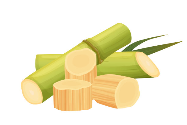 甘蔗孤立在白色背景上。矢量eps 10。适合壁纸或设计元素图片下载