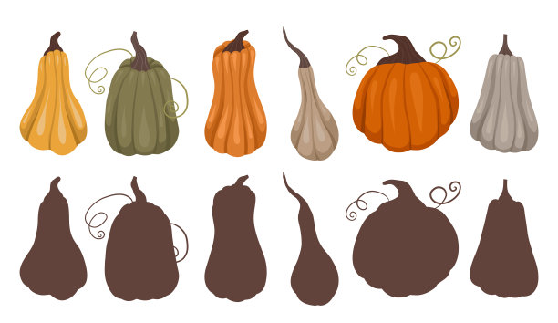 儿童教育乐趣。为南瓜找到正确的黑色轮廓。秋季学前游戏矢量模板。找到正确的阴影图片下载