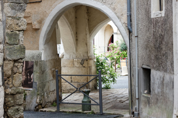 夏天法国城市巴扎斯的详细照片图片下载