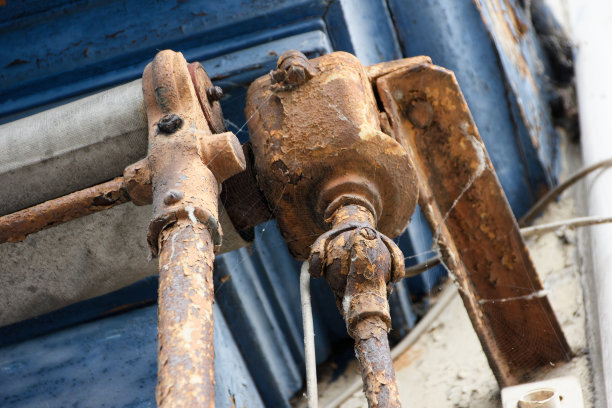 夏天法国城市巴扎斯的详细照片图片下载